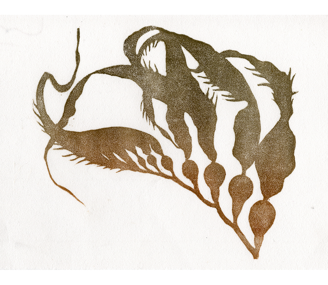 “Giant Kelp” - Kristen Etmund